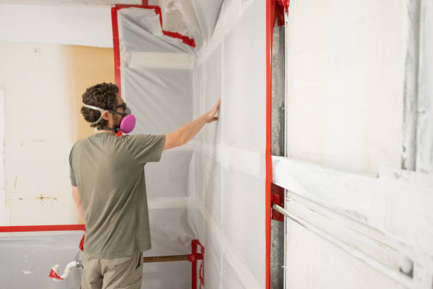 Best Mold Removal for HVAC Installations  in Heartland, TX